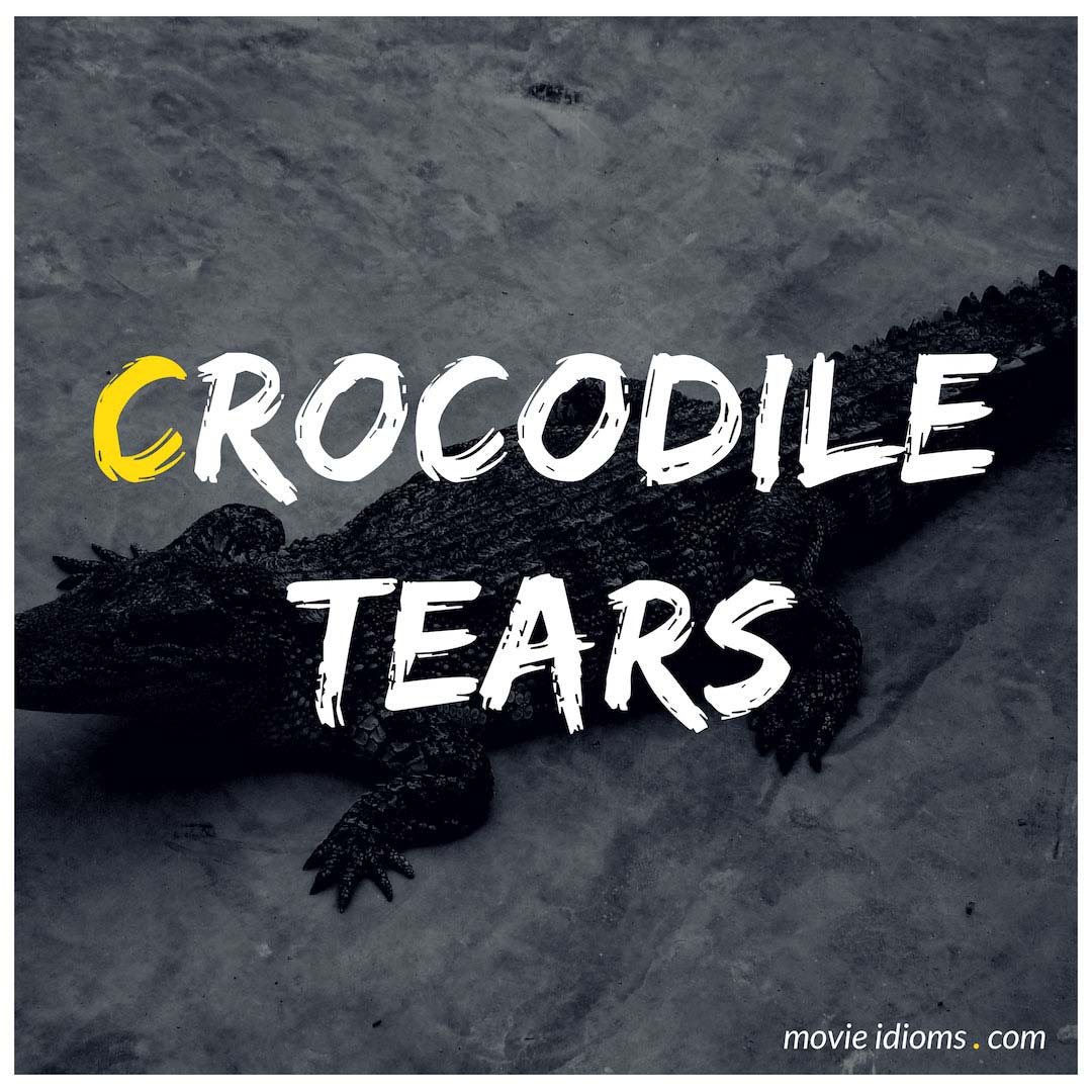 Crocodile Tears Meaning with Real Examples • 7ESL