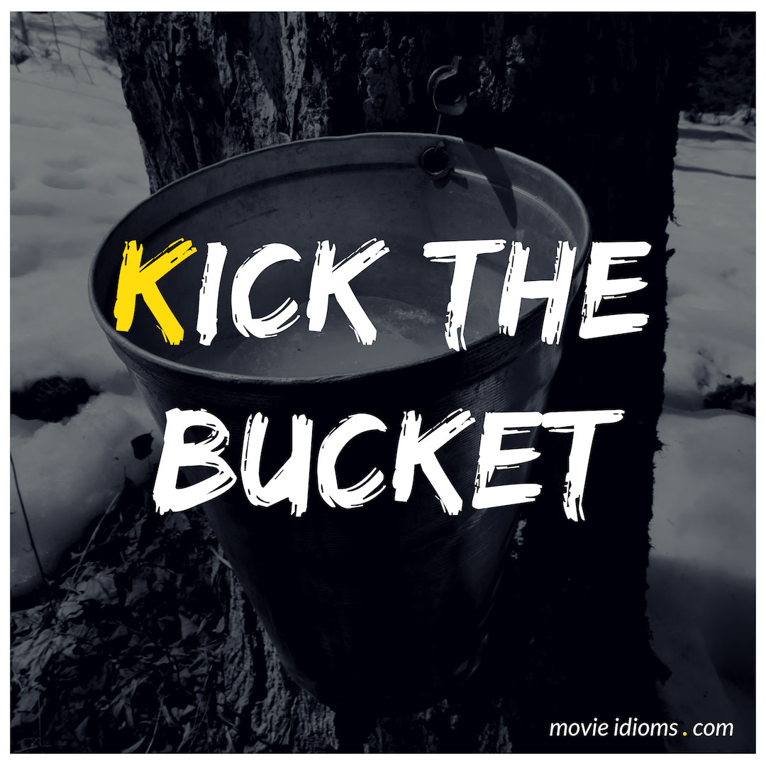 Kick the bucket 🪣  English language, Idioms, Kicks