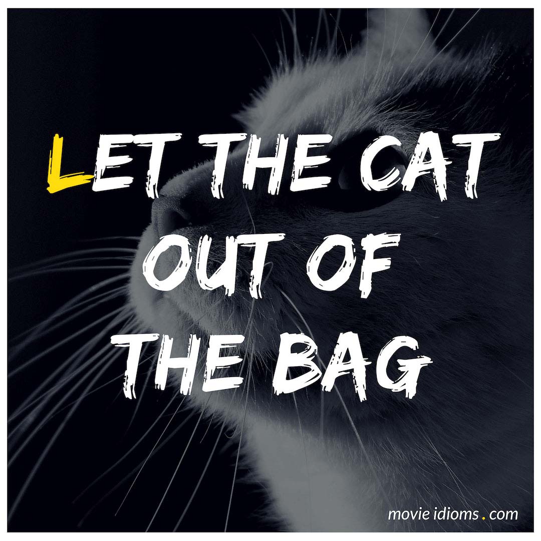 Let the Cat Out of The Bag Idiom Meaning & Examples Movie Idioms