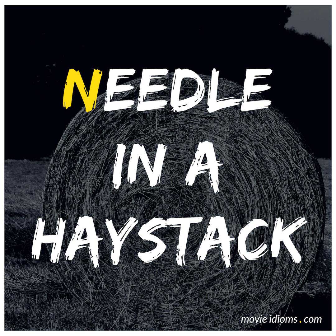 needle-in-a-haystack-idiom-meaning-examples-movie-idioms