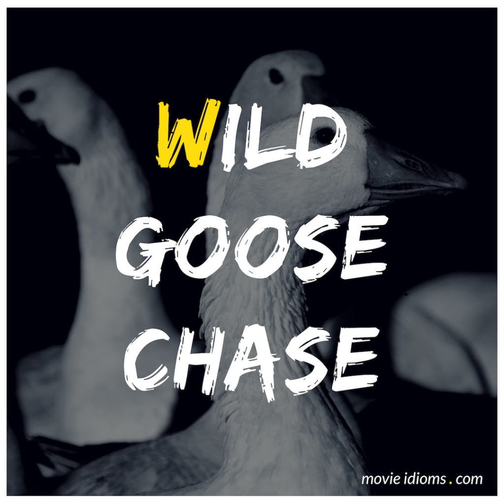 Wild Goose Chase Meaning - A Hopeless Quest - NewtonDesk