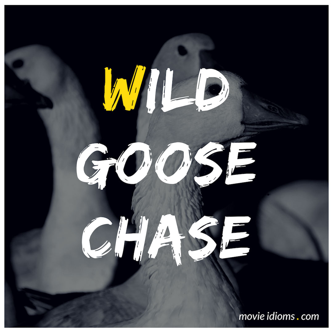 Go on a Wild Goose Chase Meaning with Example - Leverage Edu