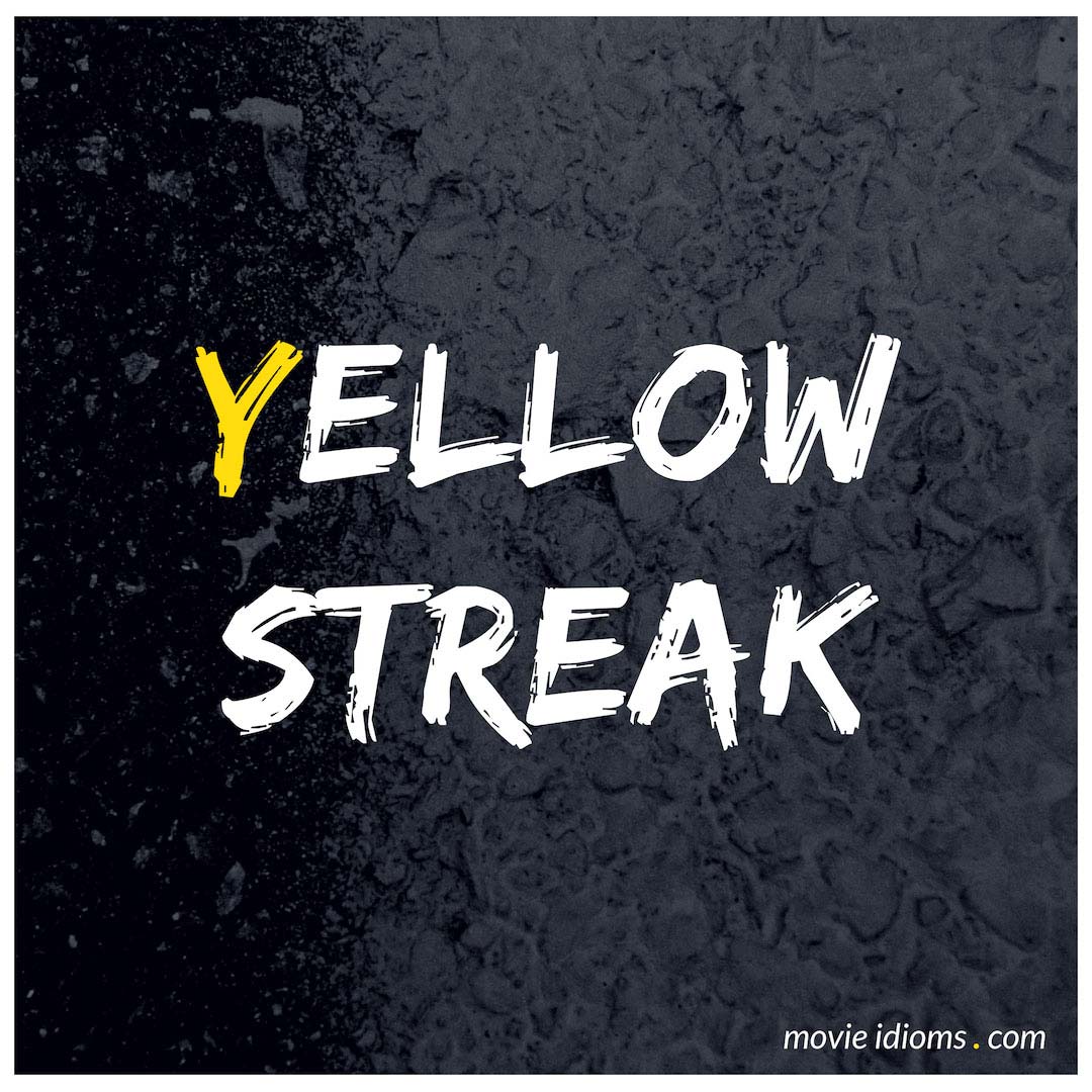 Streak yellow Black Snakes