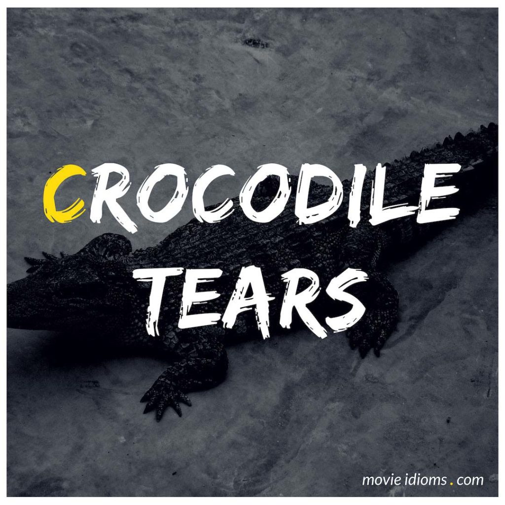 Crocodile Tears Idiom