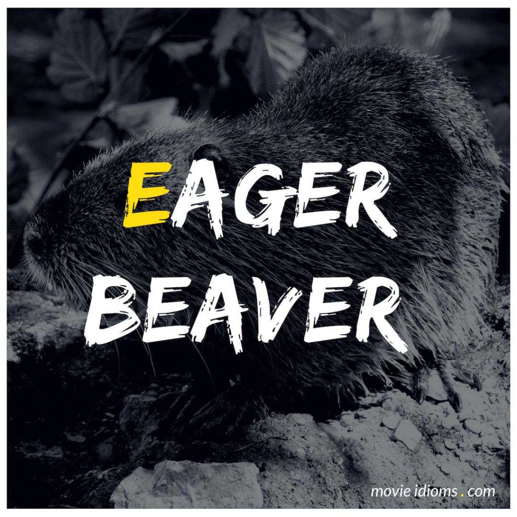 Eager Beaver Idiom