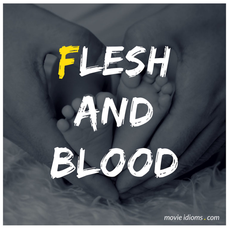 Flesh And Blood Idiom Meaning Examples Movie Idioms