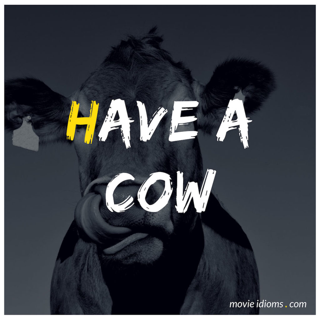 Have A Cow Idiom