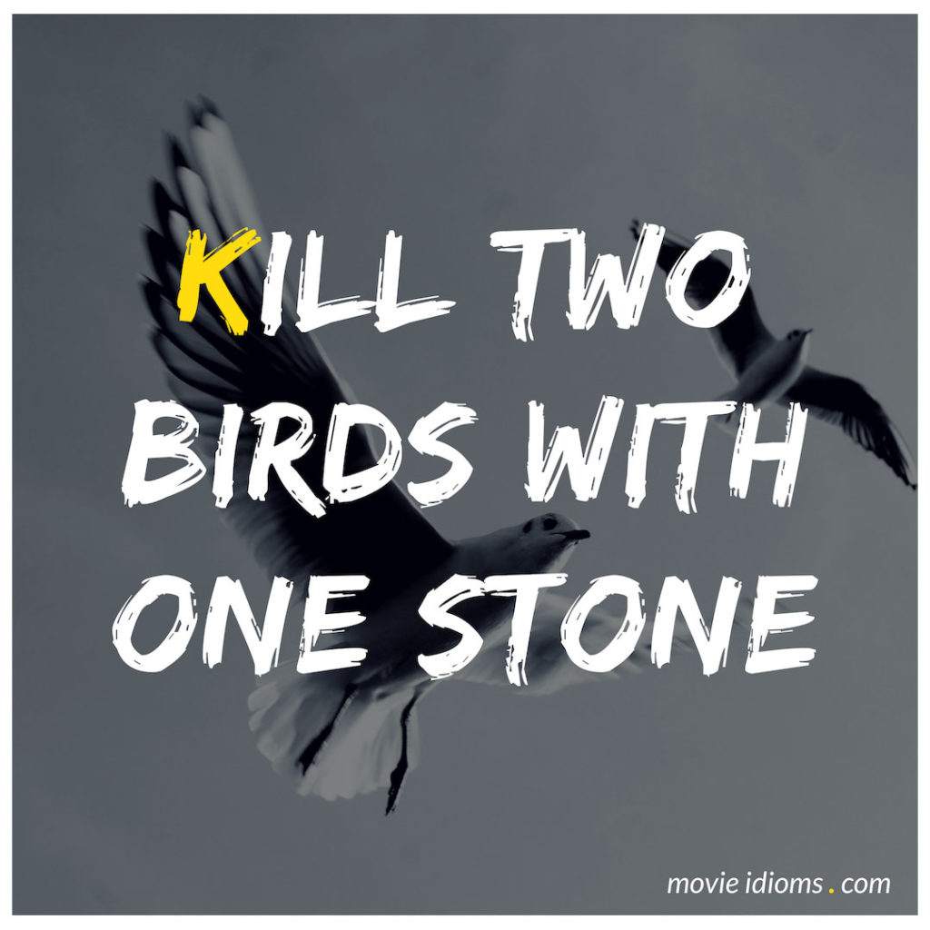 Kill Two Birds With One Stone Idiom