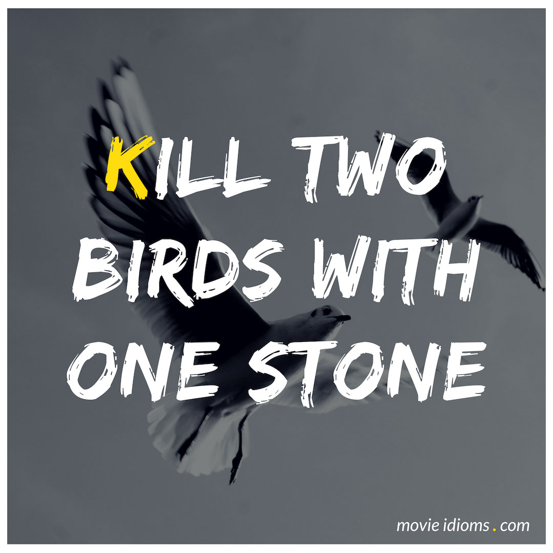 Two birds one stone. To Kill two Birds with one Stone идиома. Kill two Birds with one Stone. Kill two Birds with one Stone idiom. Kill 2 Birds with 1 Stone.