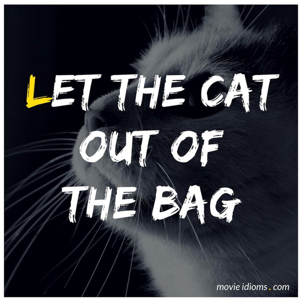 Let The Cat Out Of The Bag Idiom