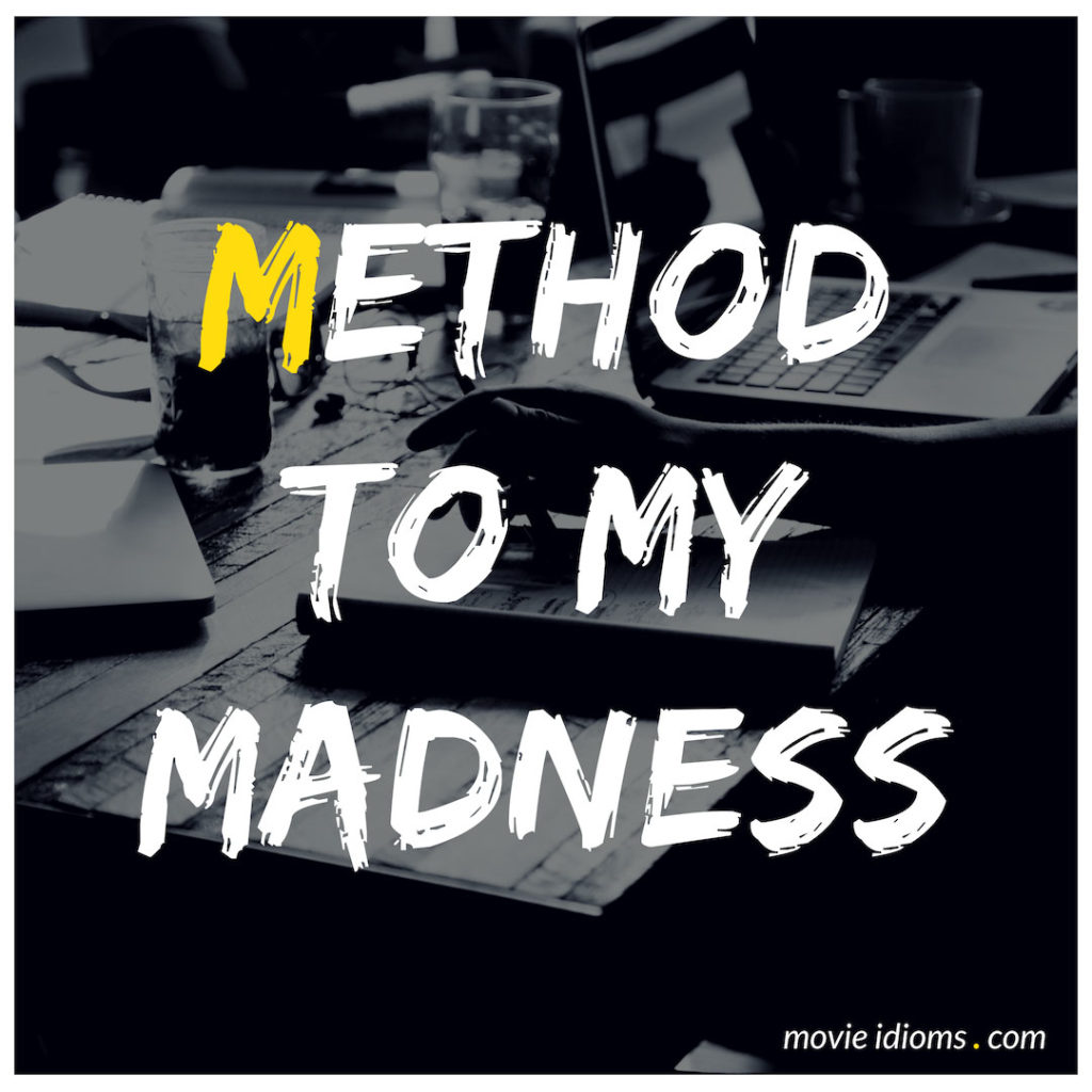 Method To My Madness Idiom