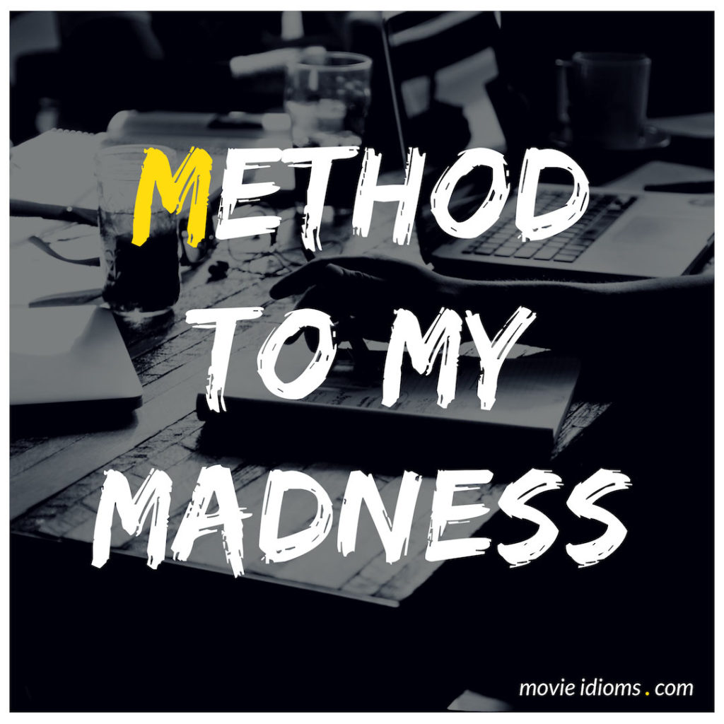 There Method To My Madness Definition