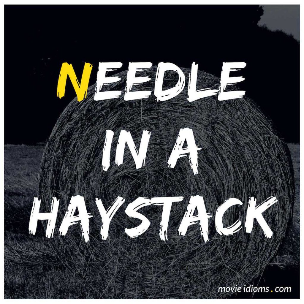 Needle In A Haystack Idiom