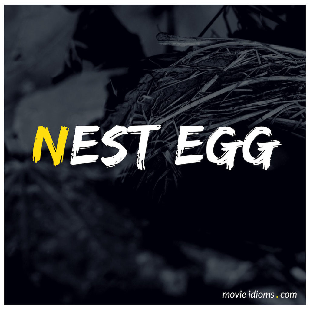 Nest Egg Idiom