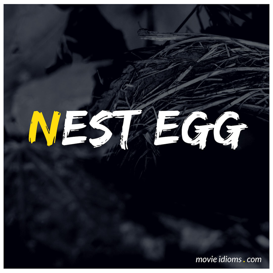 nest-egg-idiom-meaning-examples-movie-idioms