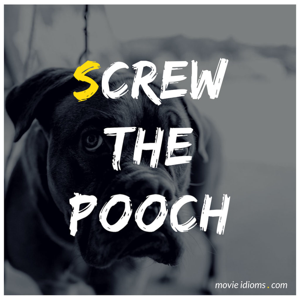 Screw The Pooch Idiom