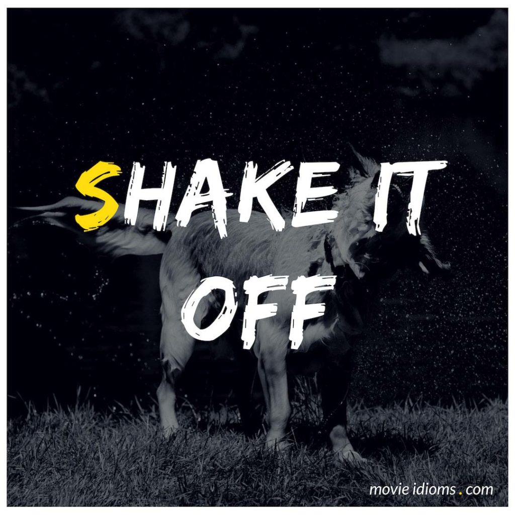 Shake It Off Idiom