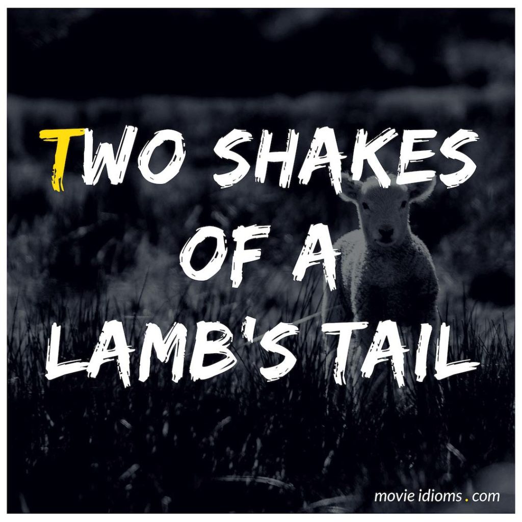 Two Shakes Of A Lamb's Tail Idiom