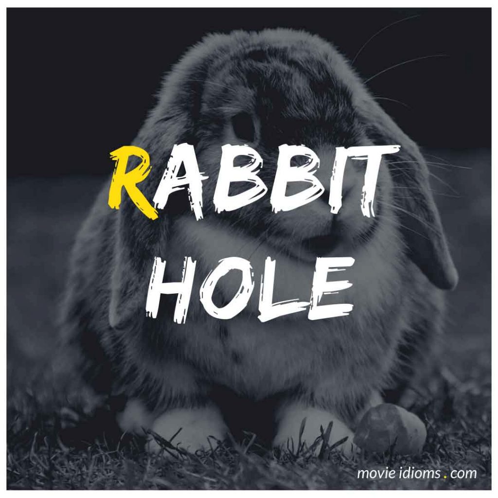 Rabbit Hole Idiom